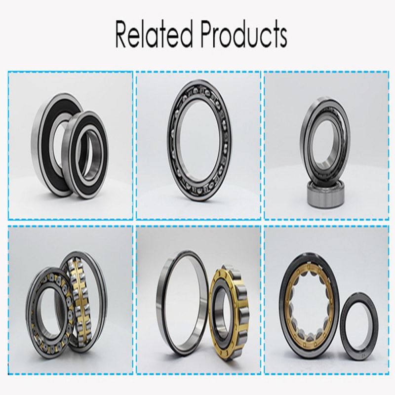 Nu/Nj/N/Nup226 Cylindrical Roller Bearing Bearing Factory Chrome Steel