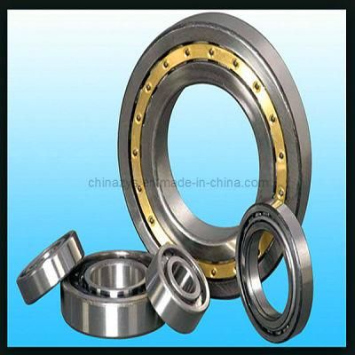 High Quality Bearing Manufacturer Zys Double Row Cylindrical Roller Bearings N1009k Nn3009k