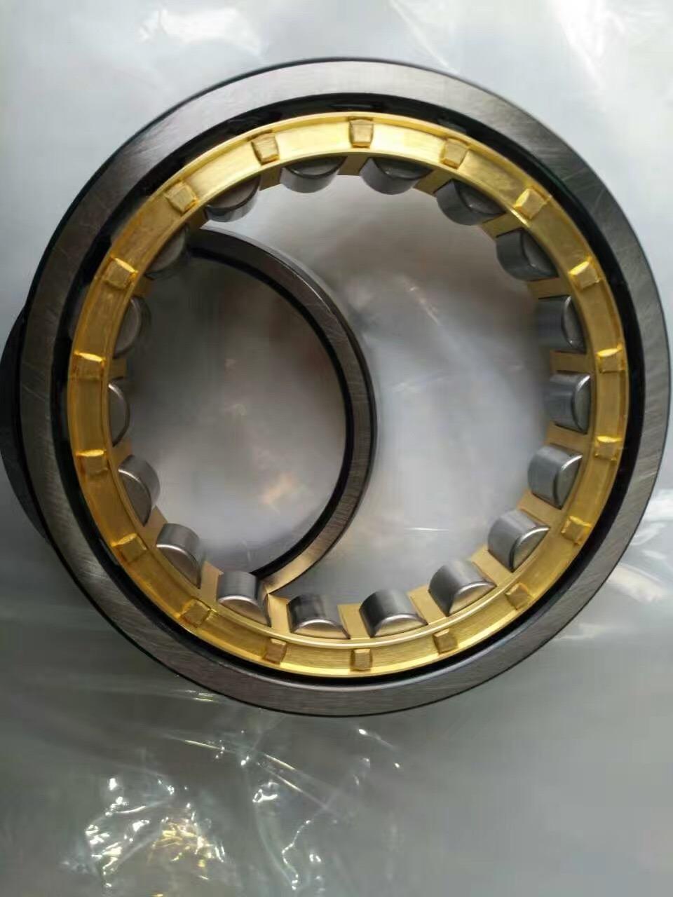 High Quality China Supply Cylindrical Roller Bearing for Rowing Machines (NU309EM)