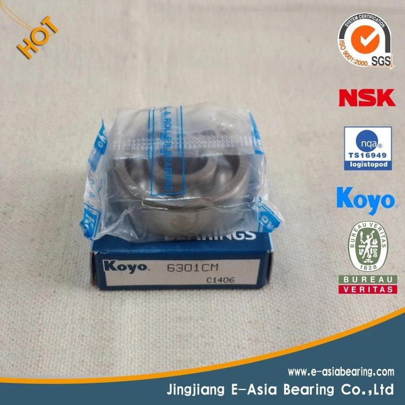 Deep Groove Ball Bearing 6000 (6000 2RS, 6000 2Z, 6000 2RZ)