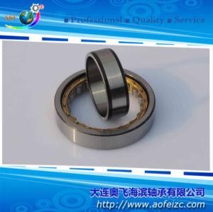 a&F Cylindrical Roller Bearing NU1036M for Excavator Part Bearing