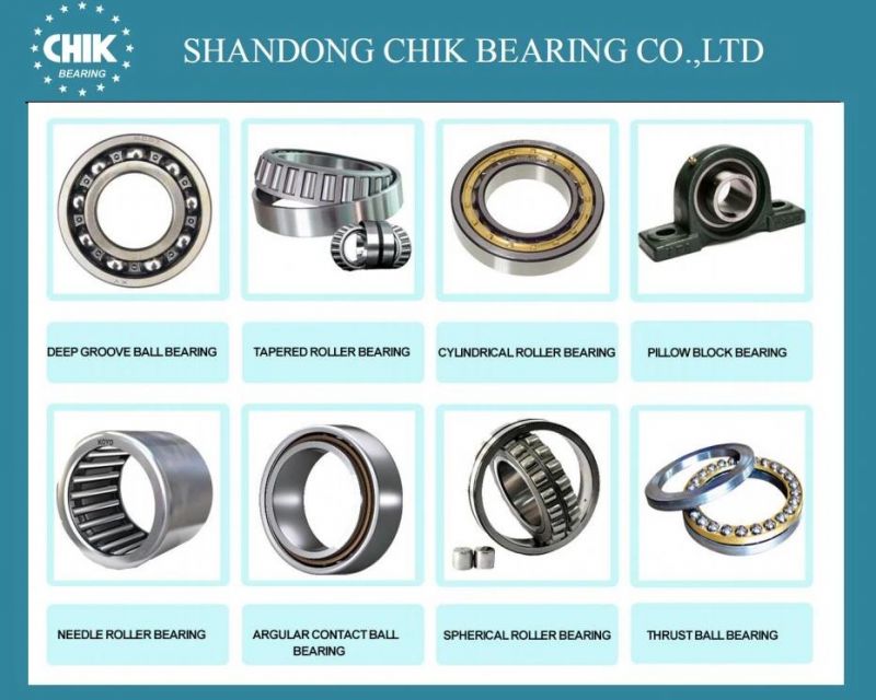 Hot Sale China Factory Bearings Deep Groove Ball Bearing Open and Sealed 2RS Zz