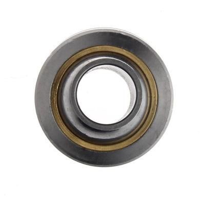 Stainless Steel Bearing Rod End Ball Joint Bearing for Car