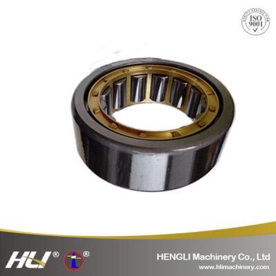 High Precision N220EM Automobile Parts Straight Bore Cylindrical Roller Bearing Rodamients