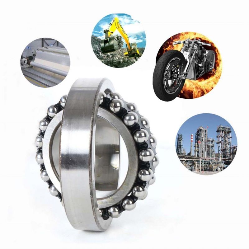 High Quality High Speed Stainless Steel Self Aligning Ball Bearings 1312, 1313, 2206K Ball Bearing