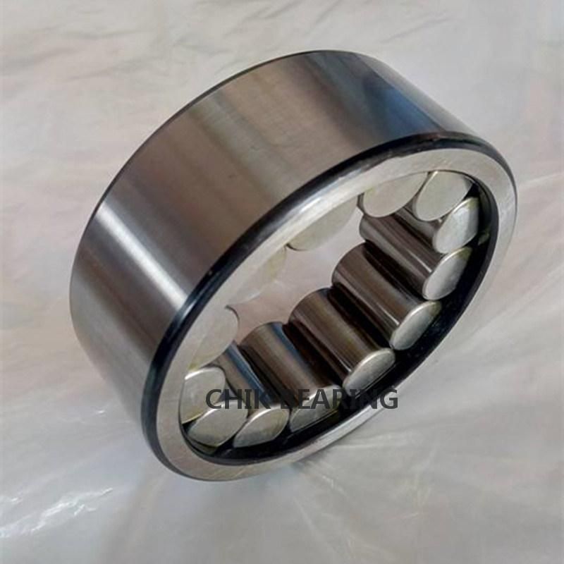 Chrome Steel Hydraulic Cylindrical Roller Bearing Pump Bearing F-84874 F-11487 F-56718
