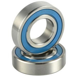 Stainless Steel Deep Groove Ball Bearings /Food Factory/Ss6004 2RS