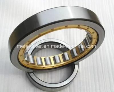 China Branded Bearing Nj 305 Single Row Cylindrical Roller Bearing Nj305