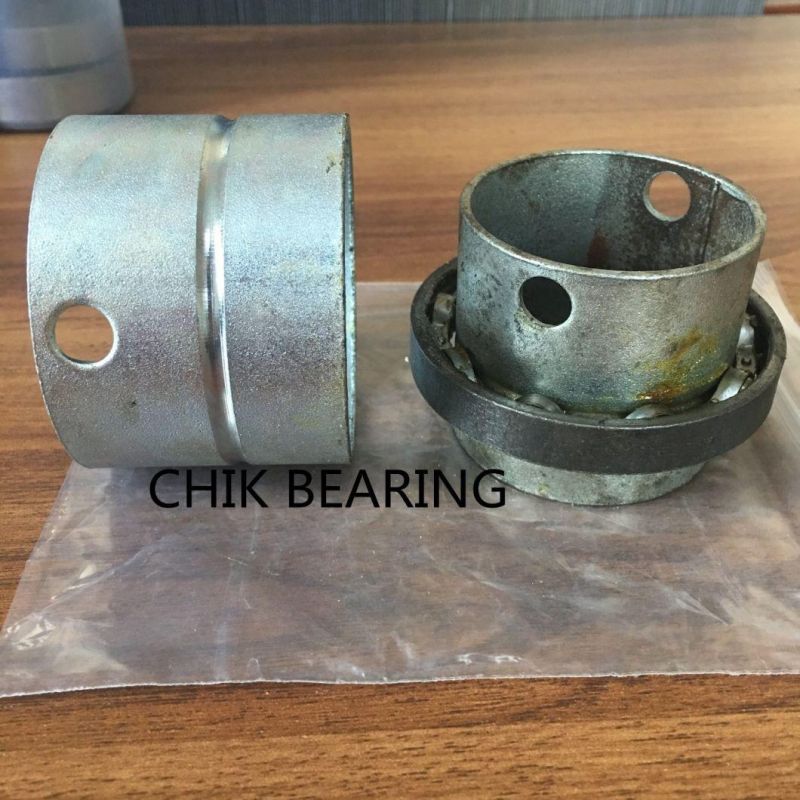 Iron Carbon Steel Shutter Door Bearing 6010 Bearing for Southeast Asia Thailand