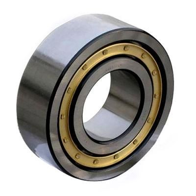 Nu336m 32336h N336m NF336m Nj336m Nup336m Nu-N-NF-Nj-Nup-336-M Cylindrical Roller Bearing