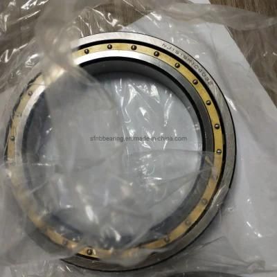 Big Size Cylindrical Roller Bearing Nu332 Rolling Bearings