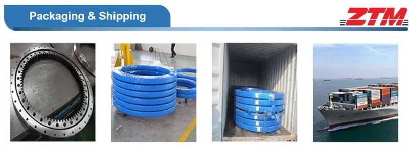 Slewing Gear Bearing for Tower Crane Made in China