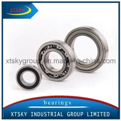 High Quality Deep Groove Ball Bearing (63001 2RS) with Brand