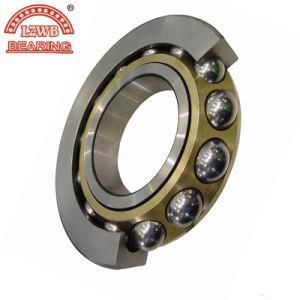 73xx Series Angular Contact Ball Bearing with Competitive Price