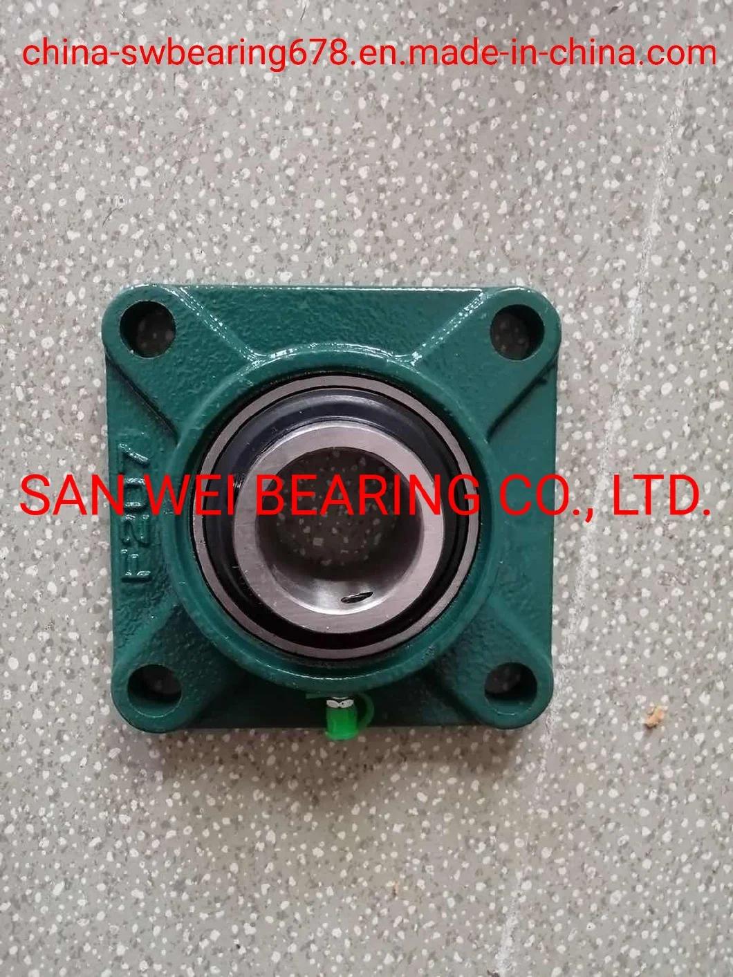 Chrome Steel/Stainless Steel Pillow Block Bearing with Cast Iron Flange UCP205 Bearing