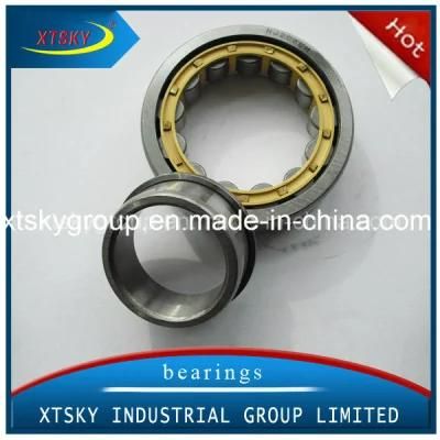 Xtsky Cylinder Roller Bearing (NJ206EM)