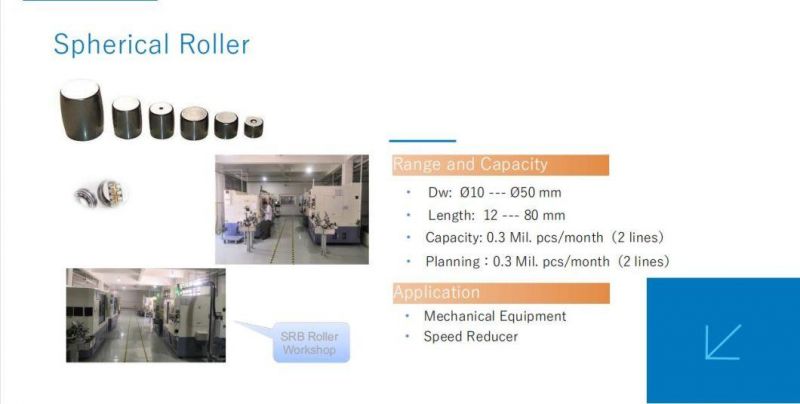 GIL Stainless Steel Spherical Roller for Mechanical Equipment/Speed Reducer