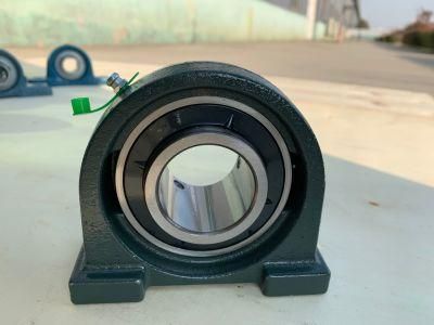 Ucpa Series Pillow Block Bearing (UCPA205 206)