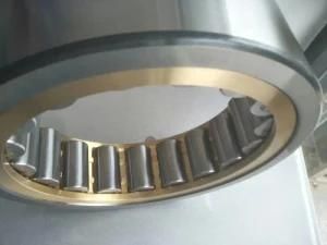 High Load Capacity Nu205, Nj205, Nup205, N205 Ecml/C3 Bearing for Locomotive and Rolling Stock