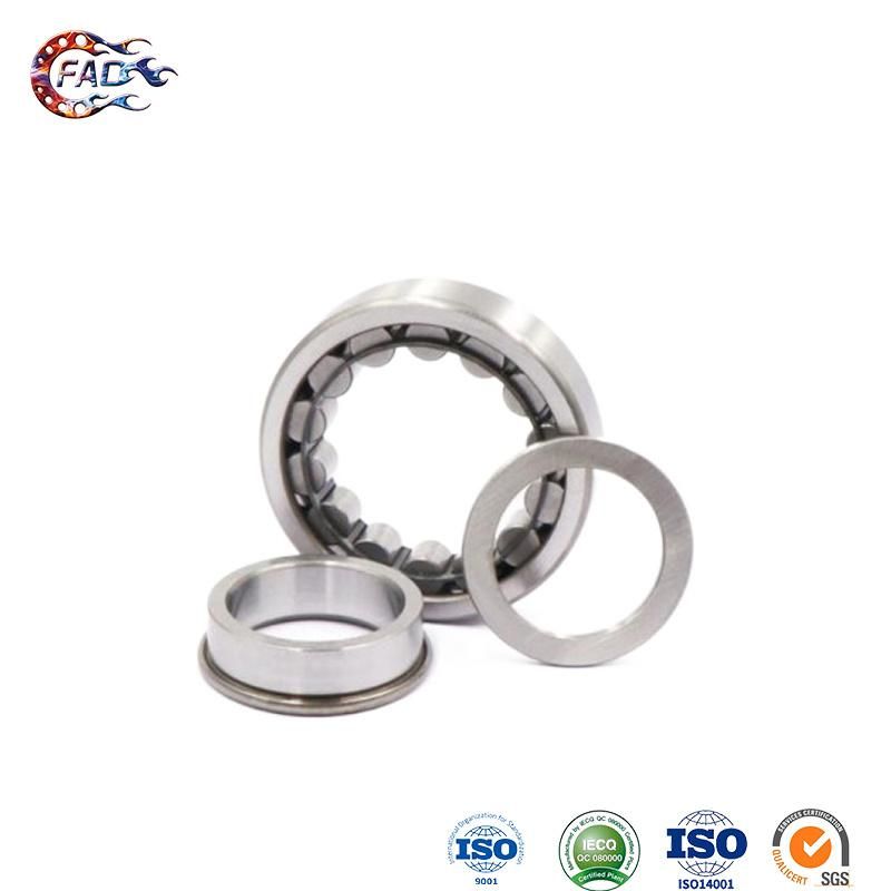 Xinhuo Bearing China One Way Clutch Bearing Custom 6009 RS Bearing Nu209e Four Row Cylindrical Roller Bearings