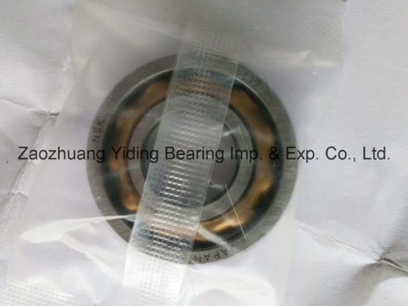 High Quality Copper Paul Magneto Bearings E10 E12 E15 E17 E20