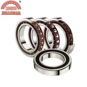 Lzwb Angular Contact Ball Bearings (7205AC--7218AC)