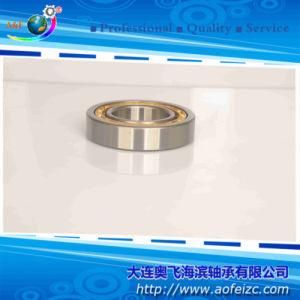 NU238M Cylindrical Roller Bearings (32238H) Roller Bearing