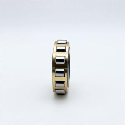 Rn209m Rn211 Eccentric Bearing Cylindrical Roller Bearing for Generators for Auto Parts/ Motorcycle Parts