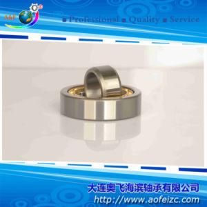 Original Cylindrical Roller Bearing NU336M (32336H)