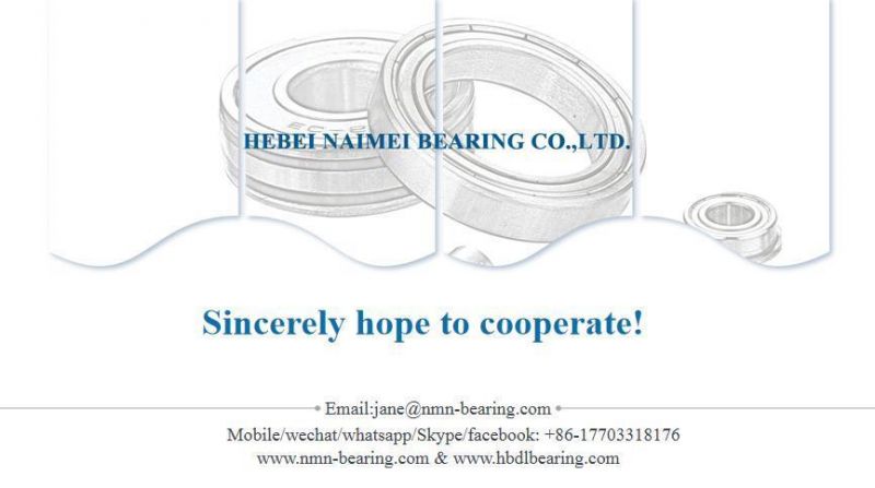 Deep Groove Ball Bearing 6203 6000 6201 6900 6209 6305 6202 6205 6001 6007 6906 6308 Bearing