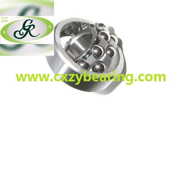 (Angular Contact/Thrust/taper roller/Self-Aligning/Flanged/Inch/Stainless steel) Bearings