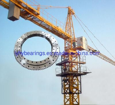 External Gear Slewing Ring Bearing Slewing Gear for City Crane 1787/800g2