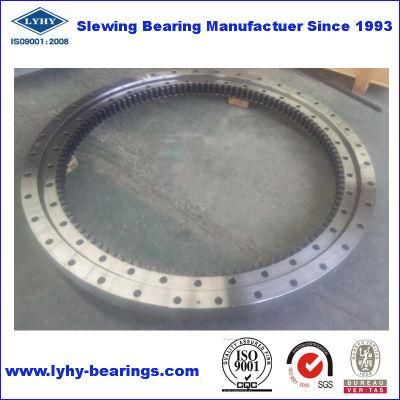 Lyhy Slewing Bearing 062.40.1500.000.19.1504 Turntable Bearing with Internal Gear