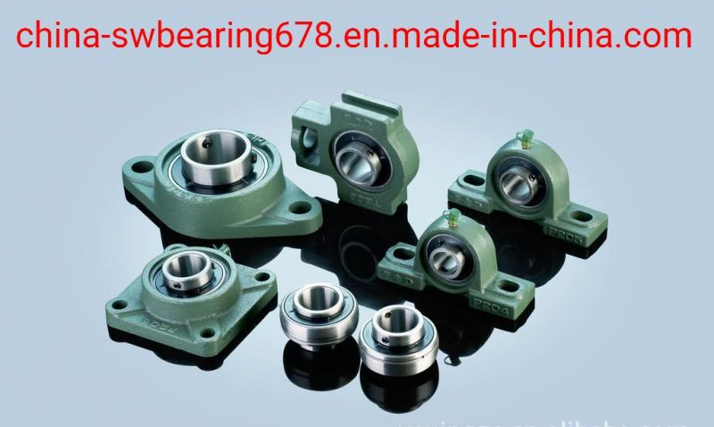 Chrome Steel /Stainless Steel Pillow Block Bearing High Quality UCP205 206 207