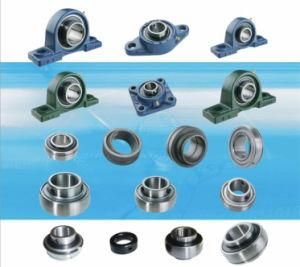 Pillow block bearing Spherical bearing Ball bearing units