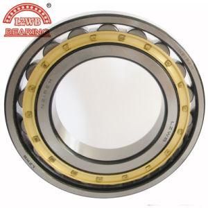 with 15 Years Manufacturing Exprieince Cylinderical Roller Bearing (N/NJ/NU/NUP/NF 405-413)