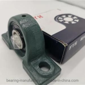 SKF Insert Bearing UCP310 with Cast Iron Two-Bolt Pillow Block for Heavy Object Conveyor