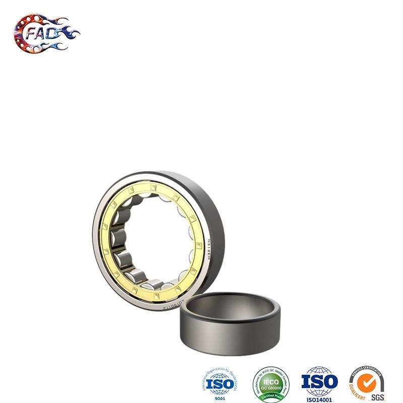Xinhuo Bearing China Automotive Wheel Bearing Own Brand 6304 Zz Bearing Price Nj203e Full Complement Cylindrical Roller Bearings