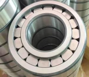 SKF Insocoat Bearings Electrically Insulated Bearing Cylindrical Roller Bearing Nu211 Ecm/C3vl0241 for Electric Motors