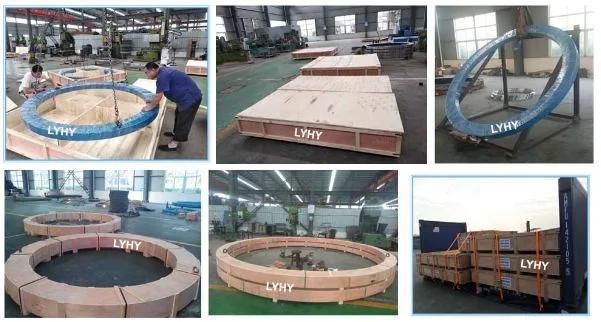 Large Diameter Slewing Ring Bearing with External Gear 31-32 4000/2-07350