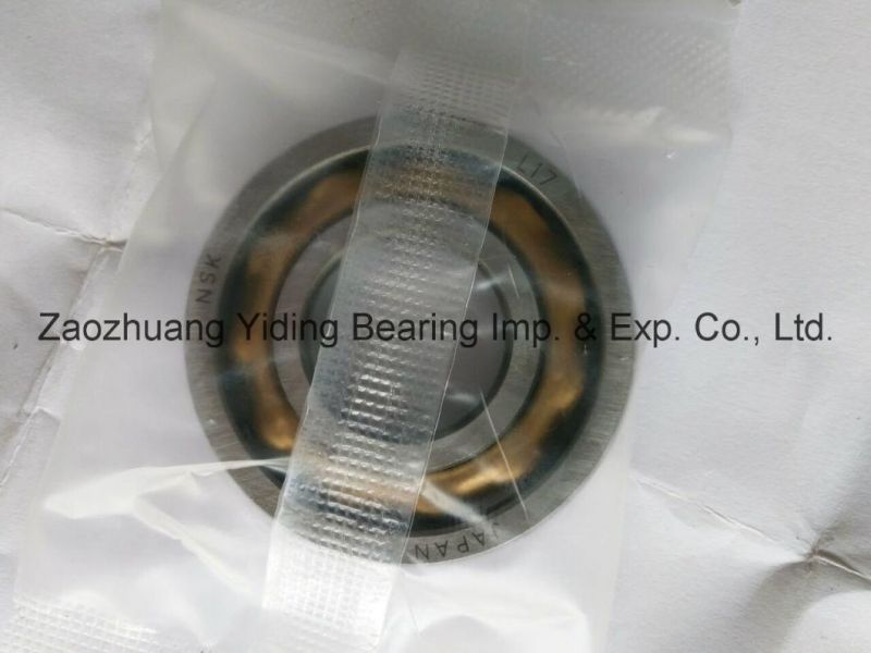 Motor Engine Bearing NSK Copper Paul Magneto Bearings E10 E17 E20