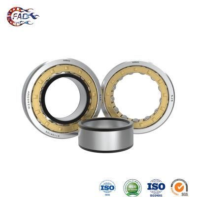 Xinhuo Bearing China 6205 Bearing Manufacturing 7206 2RS Nu304 Double Row Cylindrical Roller Bearing