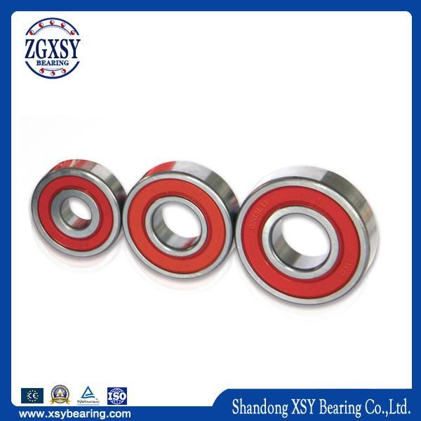 Deep Groove and Angular Contact Ball Bearing