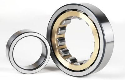 N406-N416 Series Single Row Cylindrical Roller Bearing