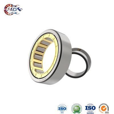 Xinhuo Bearing China 6004 Bearing OEM 6202 2RS C3 Nj316e Double Cylindrical Roller Bearing
