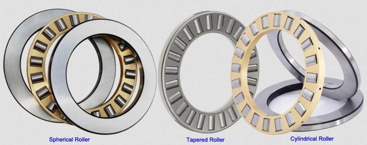 525mm Ttsx525 Cylindrical, Tapered and Spherical Thrust Roller Bearing Factory