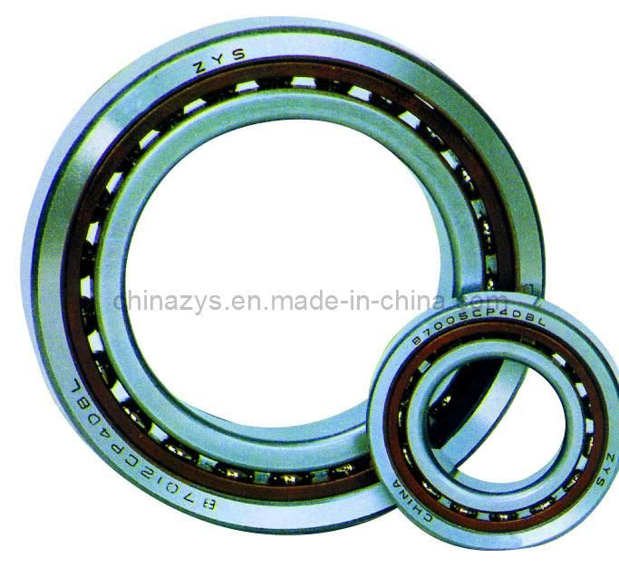 Zys Bearings for Electric Motor