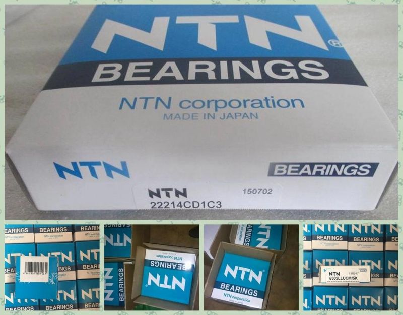 Chik SKF NTN Koyo Machine Parts of Deep Groove Ball Bearing (6318 ZZ)