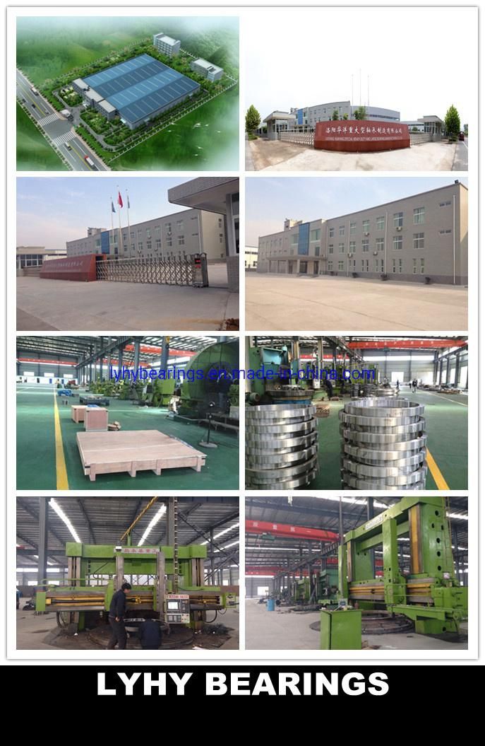 Gearless Slewing Bearing Slb 350 Turntable Bearings for Offshore Crane
