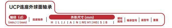 Insert Bearing, Bearing Unit, Roulements Inserts, Grae12-XL-Npp-B, G10, Zv2, Zv3, Zv4, P6, P5plus